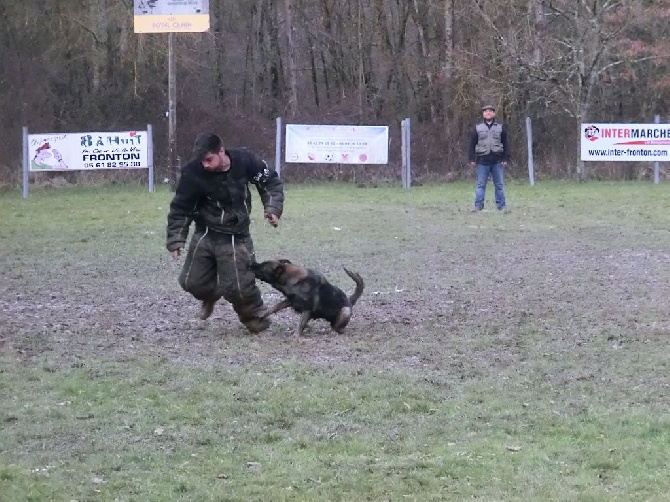 des Montagnes des Loups Noirs - Ring 3 Fronton