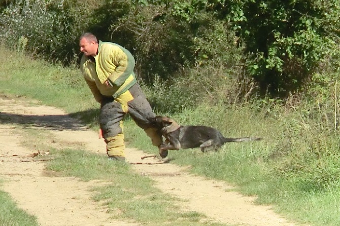 des Montagnes des Loups Noirs - Campagne